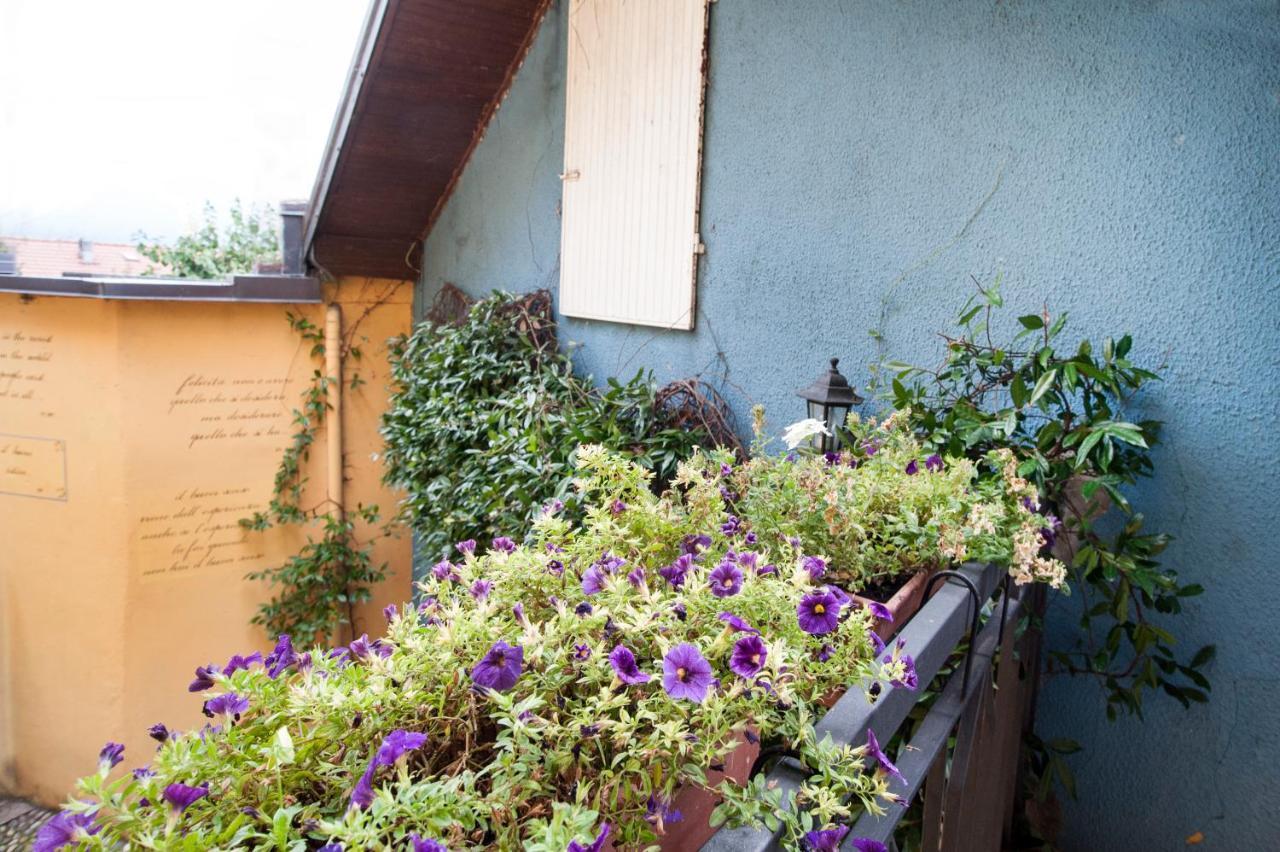 B&B Tra Lago E Stelle Cissano Dış mekan fotoğraf